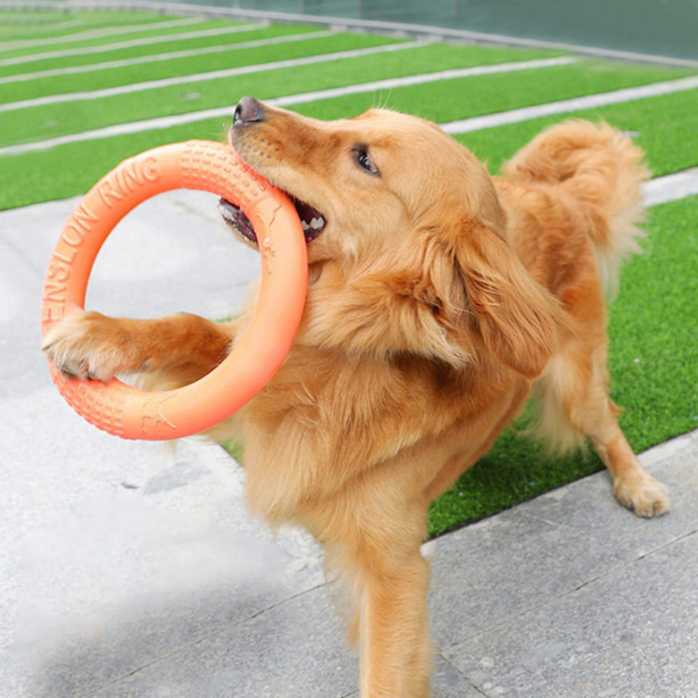 Flying Disc Dog Training Toy - 1PC cam Dog Đồ chơi Vật