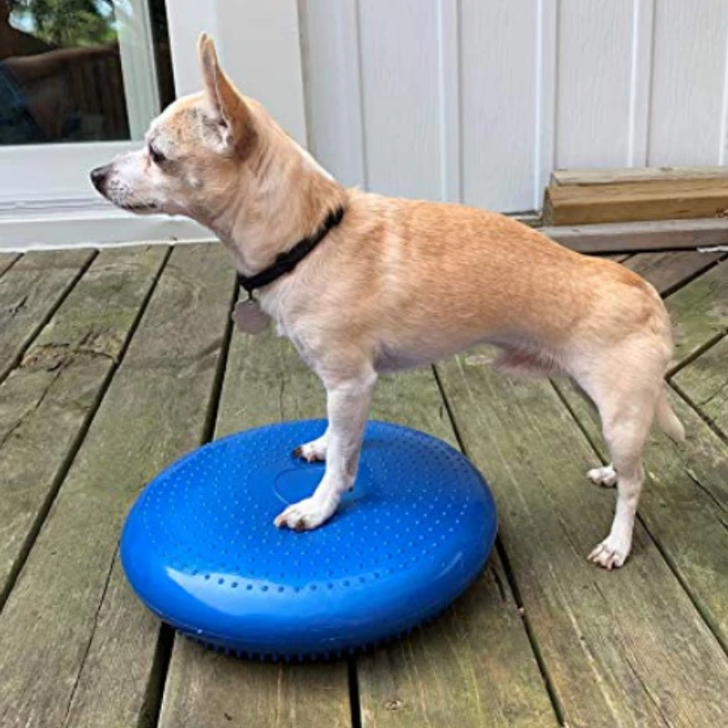Flying Disc Dog Training Toy - Dogs Training Aids Balance Flying Saucer