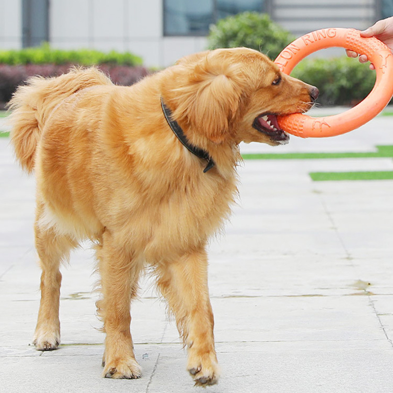 1PC cam Dog Đồ chơi Vật nuôi b - đánh giá và giá Flying Disc Dog Training Toy