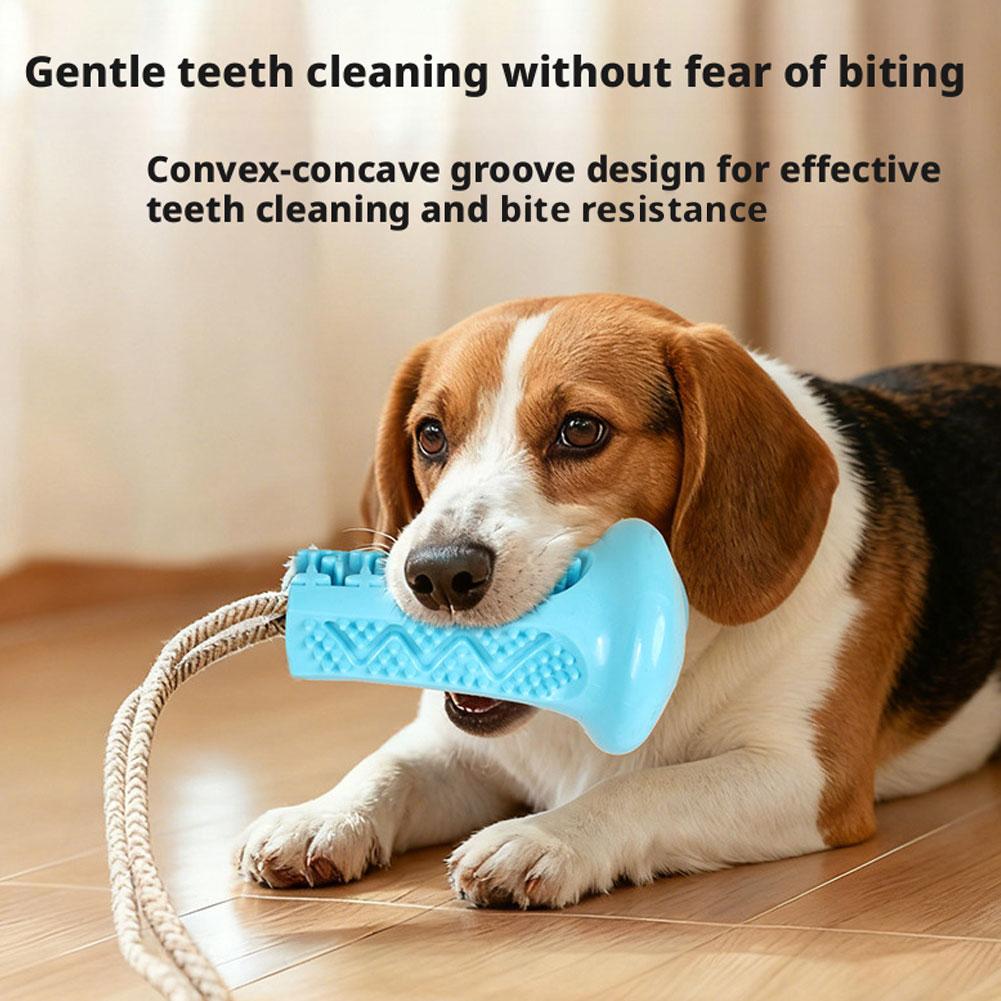 Suction Cup Dog Chew Toy Inter - đánh giá và giá Suction Cup Dog Tug Toy