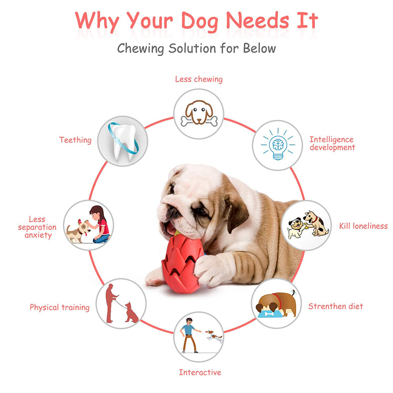 Benepaw Không Thể Phá Hủy Pita - đánh giá và giá Indestructible Dog Chew Toy