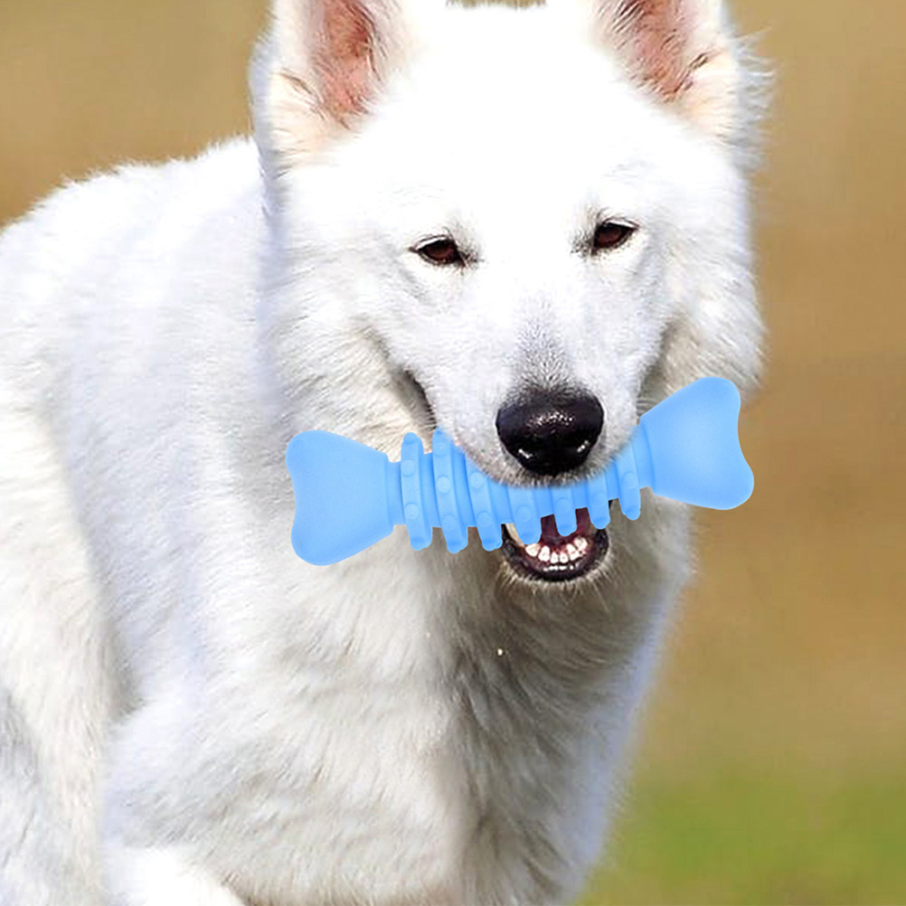 2Pcs Dog Molar Chewing Bone Sa - đánh giá và giá Teeth Cleaning Dog Chew Bone
