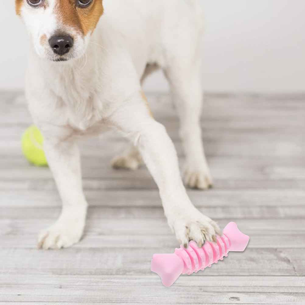 2Pcs Dog Molar Chewing Bone Sa - đánh giá và giá Teeth Cleaning Dog Chew Bone