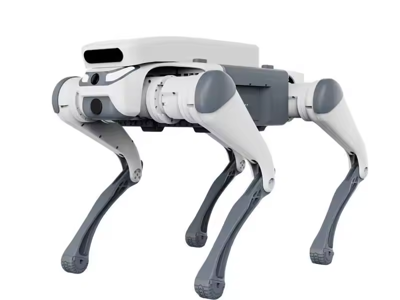 stunt remote control education - đánh giá và giá Dog Toys