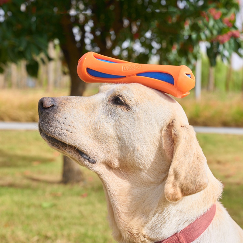 Indestructible Floating Dog Ch - đánh giá và giá Indestructible Dog Chew Toy