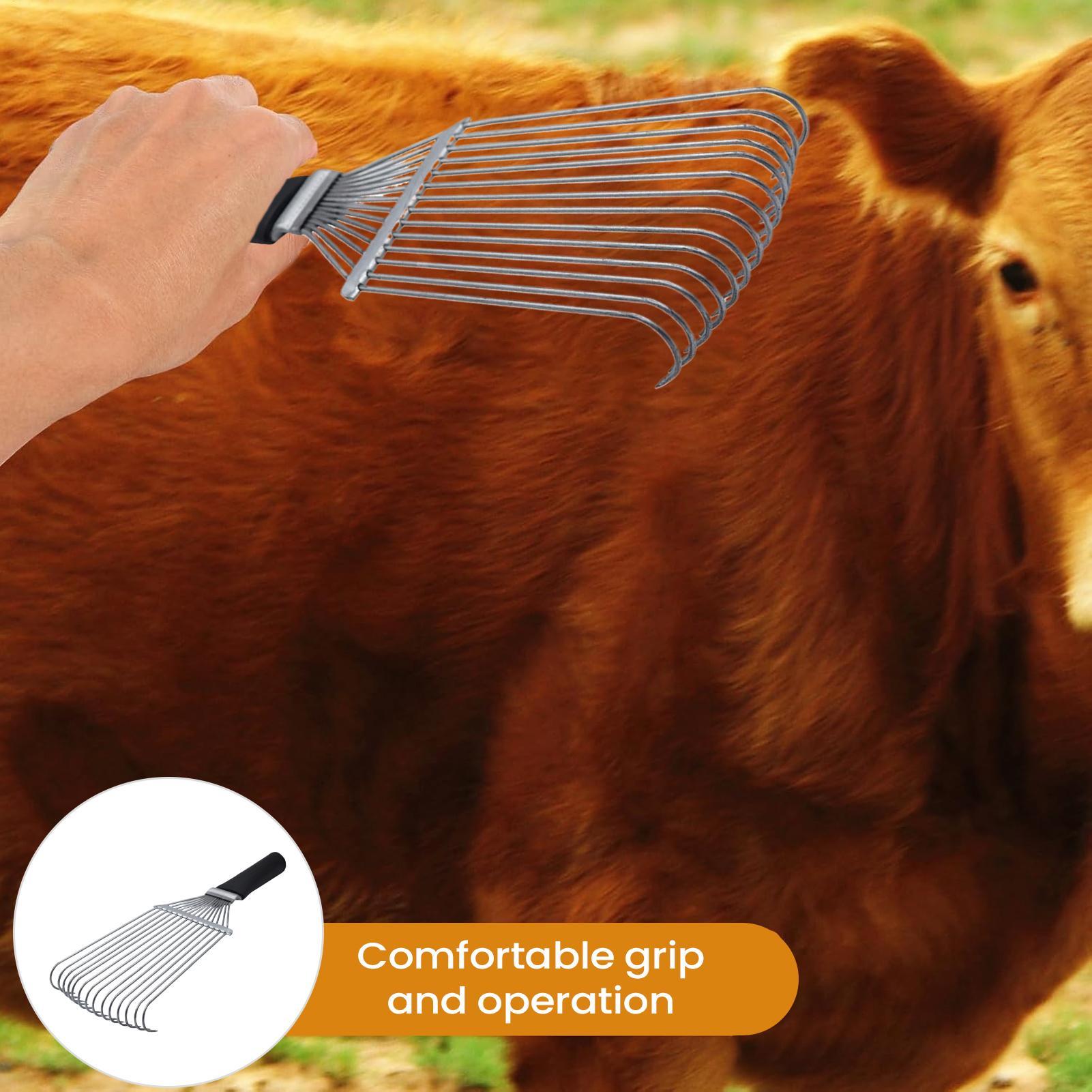 Horse Grooming Rake Shedding B - đánh giá và giá Pet Grooming