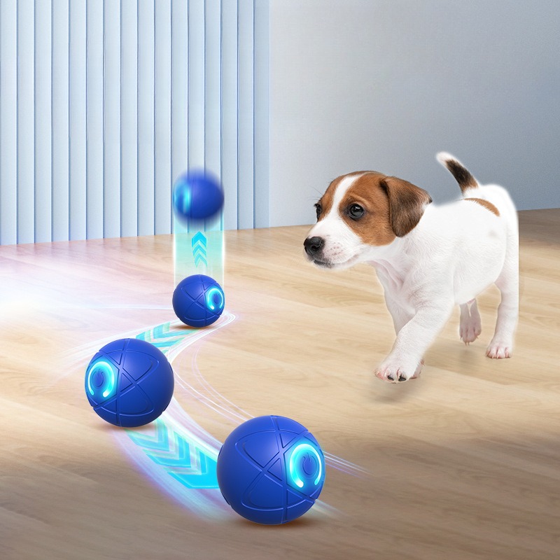 Smart Dog Toy Ball USB Automat - đánh giá và giá Suction Cup Dog Tug Toy