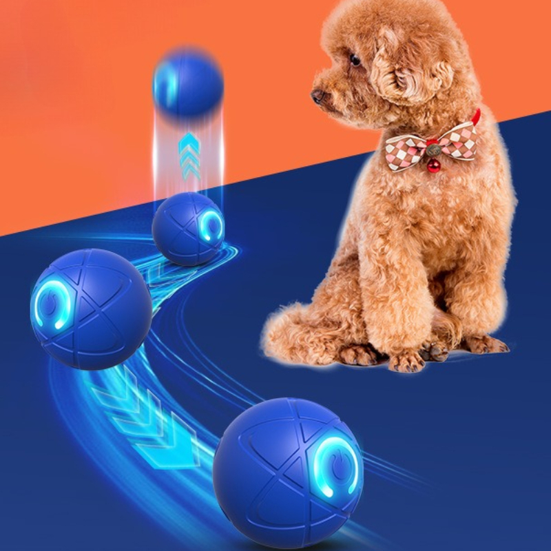 Smart Dog Toy Ball USB Automat - đánh giá và giá Suction Cup Dog Tug Toy