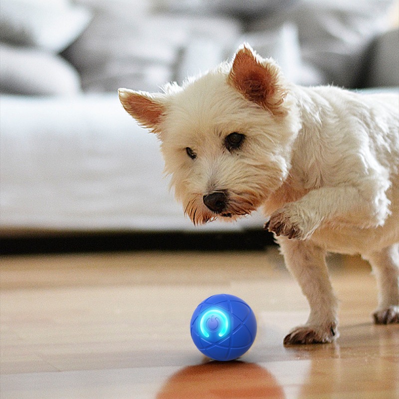 Smart Dog Toy Ball USB Automat - đánh giá và giá Suction Cup Dog Tug Toy