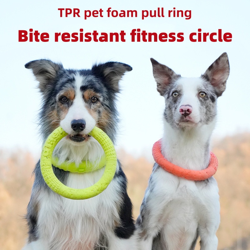 Chew Resistant EVA Dog Flyer W - đánh giá và giá Flying Disc Dog Training Toy