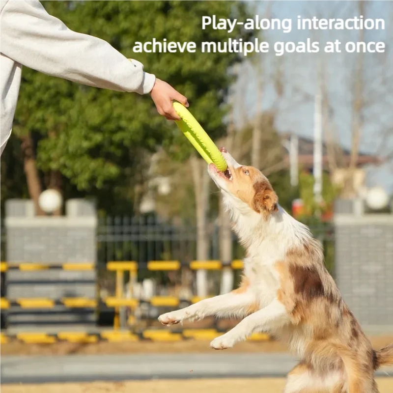 Chew Resistant EVA Dog Flyer W - đánh giá và giá Flying Disc Dog Training Toy