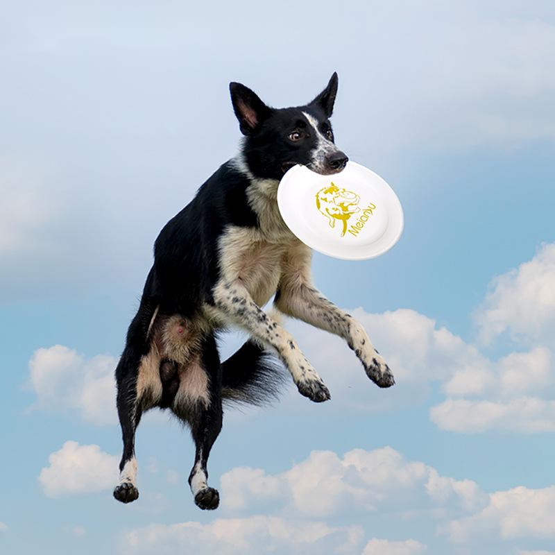 OUZEY Bite Resistant Pet Train - đánh giá và giá Flying Disc Dog Training Toy