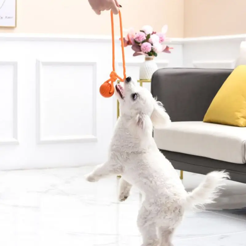 Dog Training Ball on Rope Cott - đánh giá và giá Suction Cup Dog Tug Toy