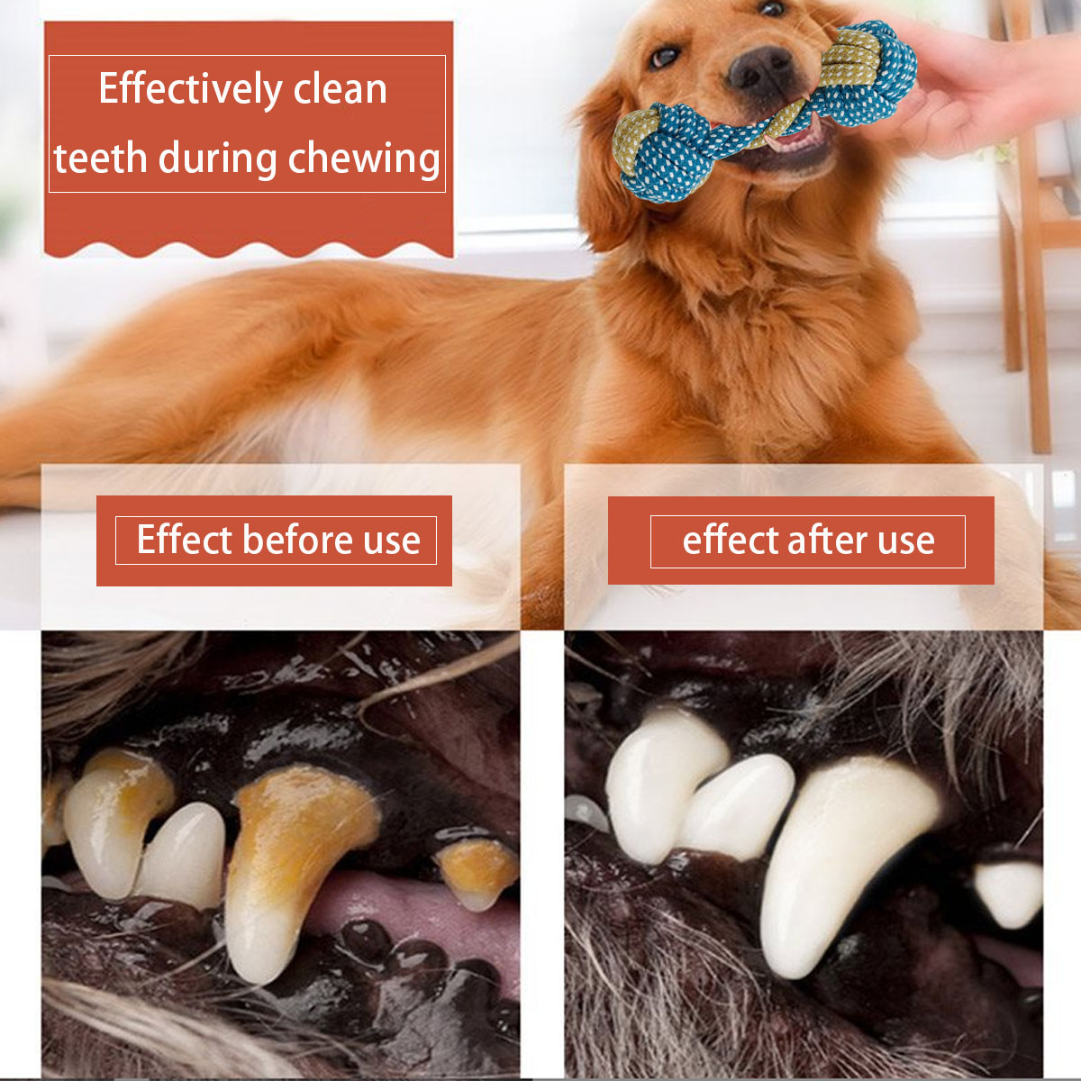 New 7PCS Pet Dog Puppy Double  - đánh giá và giá Teeth Cleaning Dog Chew Bone
