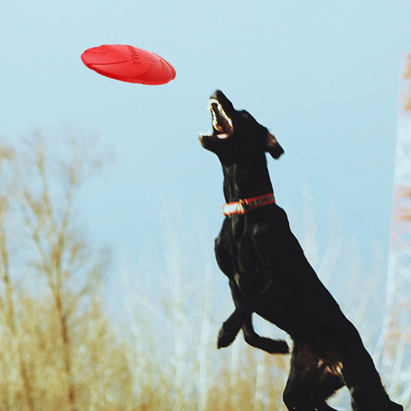 Rubber Pet Dog Flying Discs Sa - đánh giá và giá Flying Disc Dog Training Toy