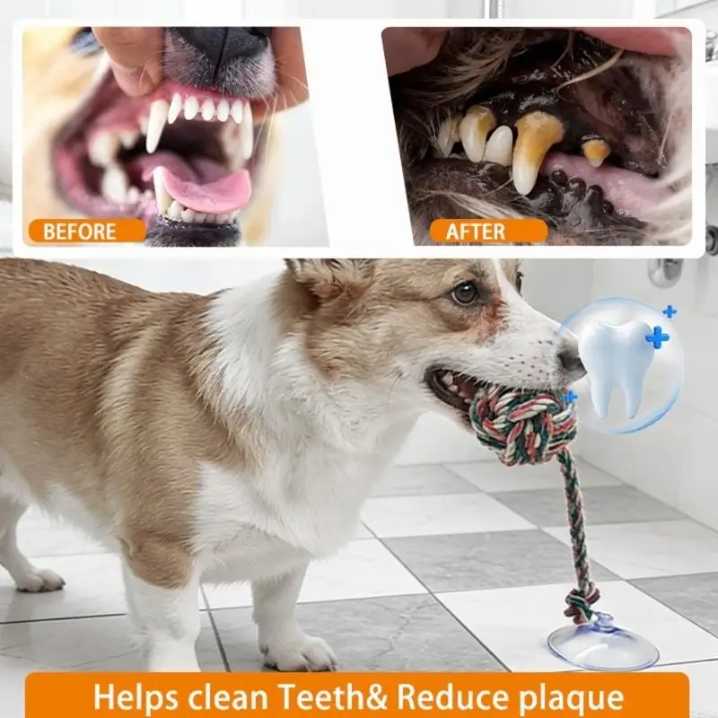 Đồ chơi nhai thú vị an toàn ch - đánh giá và giá Suction Cup Dog Tug Toy