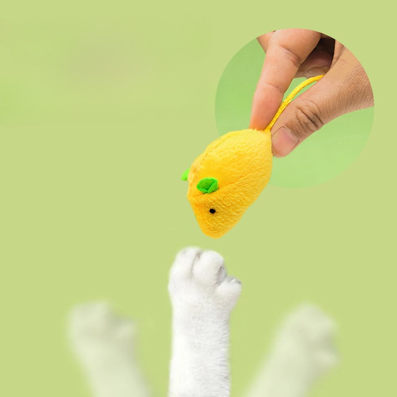 Cat Mouse Toys Interactive Cat - đánh giá và giá Catnip Interactive Plush Mouse