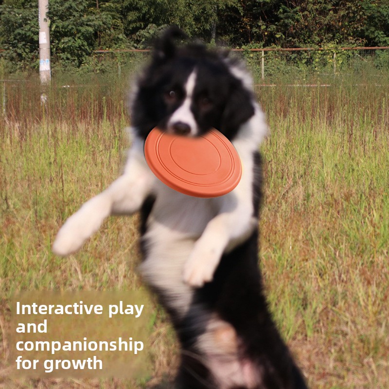 Bite Resistant Floating Soft P - đánh giá và giá Flying Disc Dog Training Toy