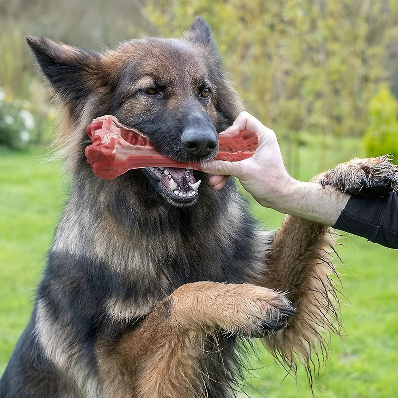 Super Tough Indestructible Dog - đánh giá và giá Teeth Cleaning Dog Chew Bone