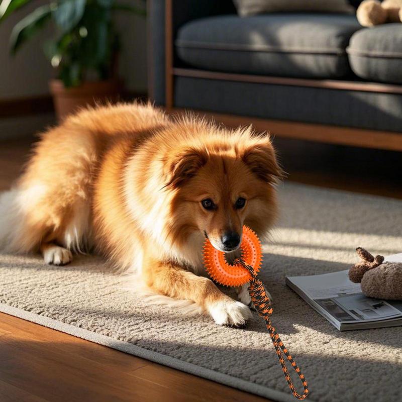 Squeaky Toys For Dogs Spiky Ri - đánh giá và giá Dog Rope Toy Aggressive Chewers