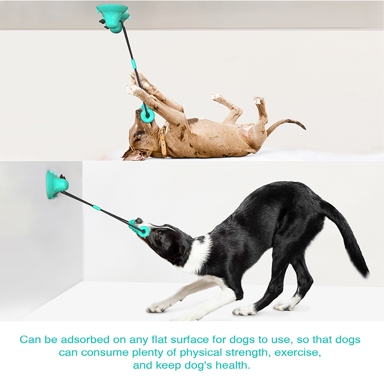 Dual Suction Cup Dog Chew Tug  - đánh giá và giá Dog Rope Toy Aggressive Chewers