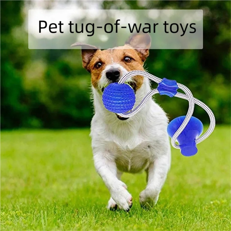 Durable Suction Cup Dog Tug To - đánh giá và giá Suction Cup Dog Tug Toy