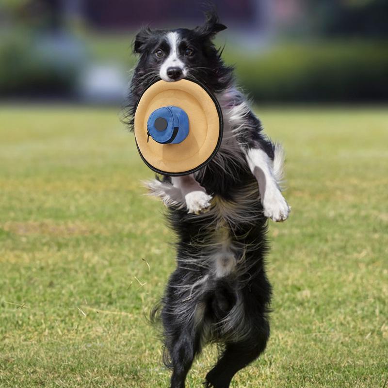 Dog Flying Disc Soft Indestruc - đánh giá và giá Flying Disc Dog Training Toy