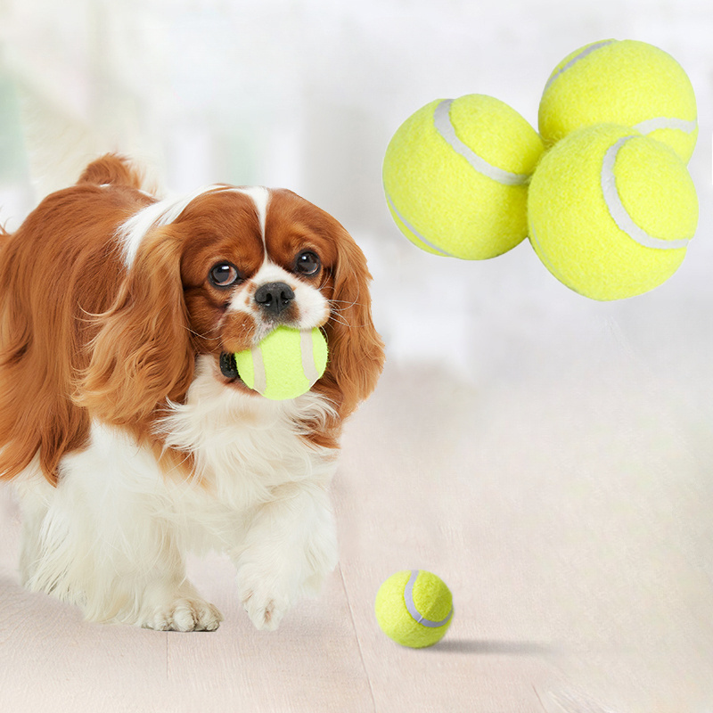Interactive Striped Rubber Ten - đánh giá và giá Interactive Squeaky Plush Dog Toy