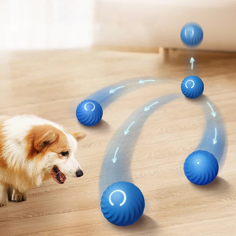 Dog Toys Intelligent Gravity J - đánh giá và giá Suction Cup Dog Tug Toy