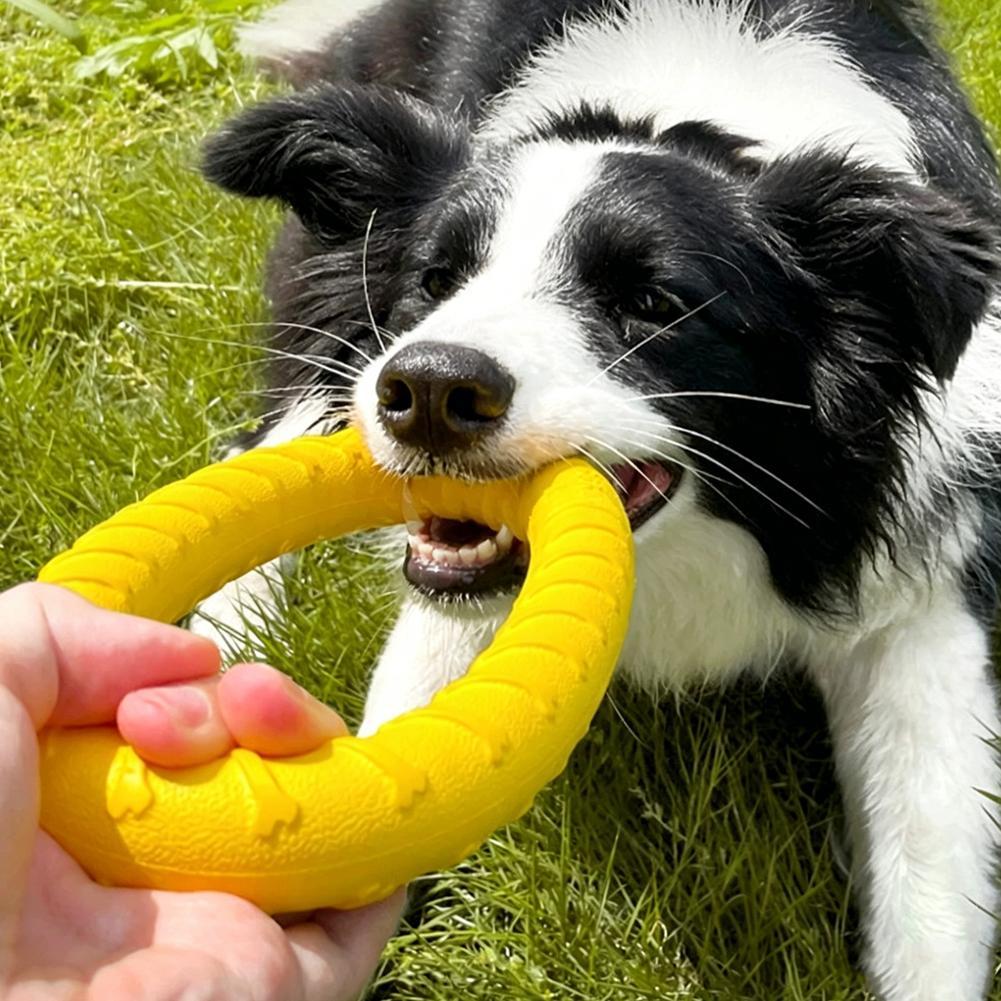 Dog Ring Toys Indestructible C - đánh giá và giá Indestructible Dog Chew Toy