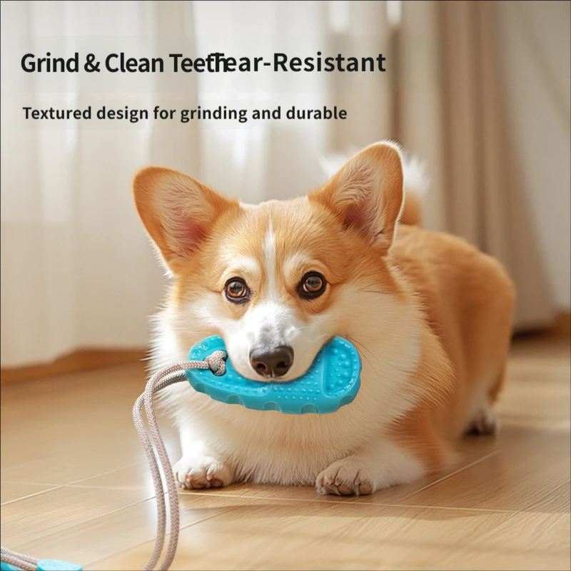 Suction Cup Dog Tug Toy Intera - đánh giá và giá Suction Cup Dog Tug Toy