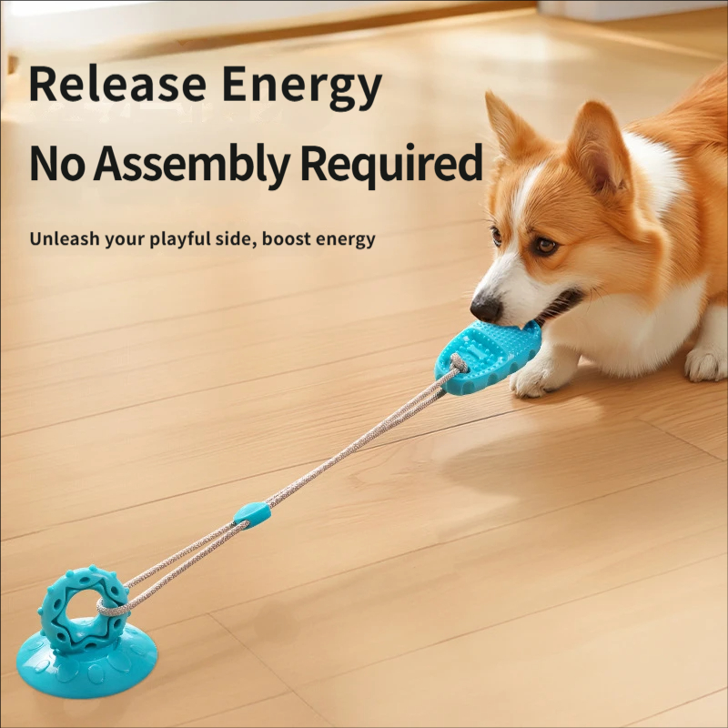 Suction Cup Dog Tug Toy Intera - đánh giá và giá Suction Cup Dog Tug Toy