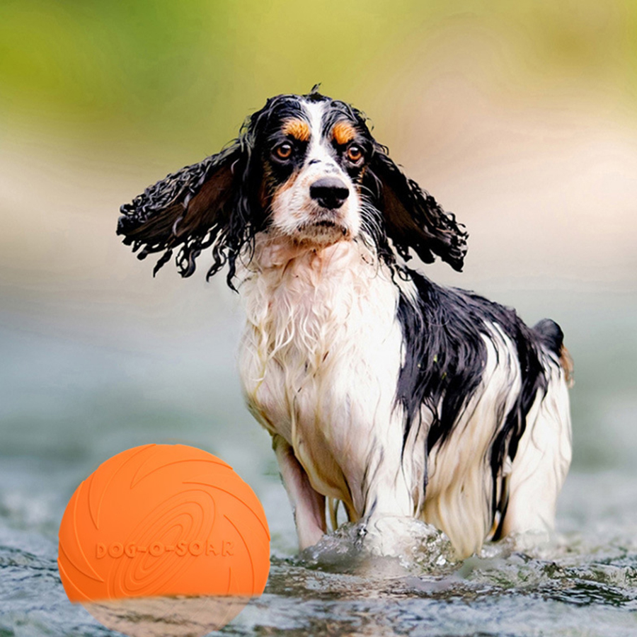 Large Dog Golden Fur Pet Flyin - đánh giá và giá Flying Disc Dog Training Toy