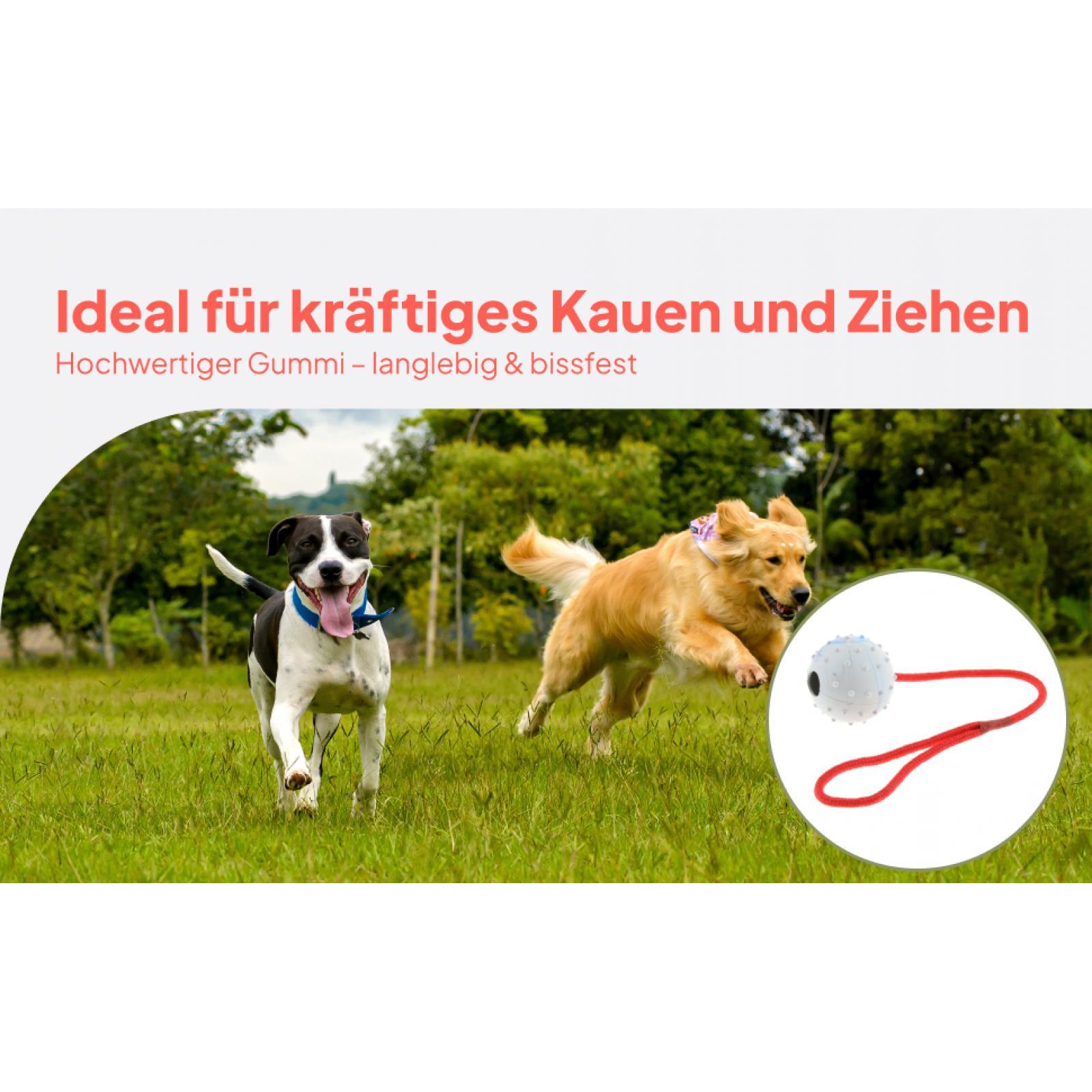 Pet Training Toy Soft Rubber C - đánh giá và giá Rubber Treat Dispensing Dog Toy